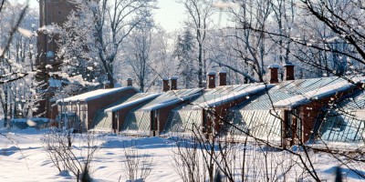 Пушкин, Александровский парк, оранжерея