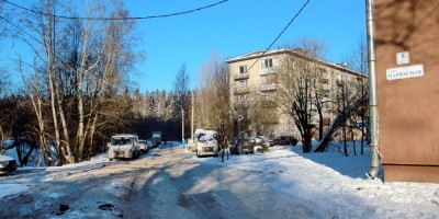 Торфяное, улица Михаила Дудина