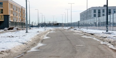 Пушкин, Пущинская улица