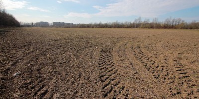 Парголово, дорога в Каменку, поле