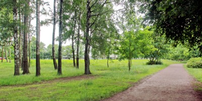 Крестовский остров, Южная дорога, дом 9, после сноса, деревья