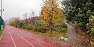 Яблоновский сад