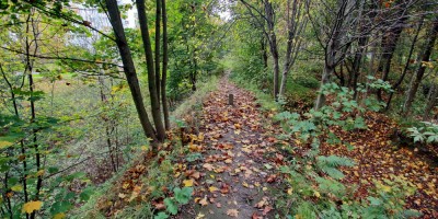 Осиновая Роща, крепость, вал